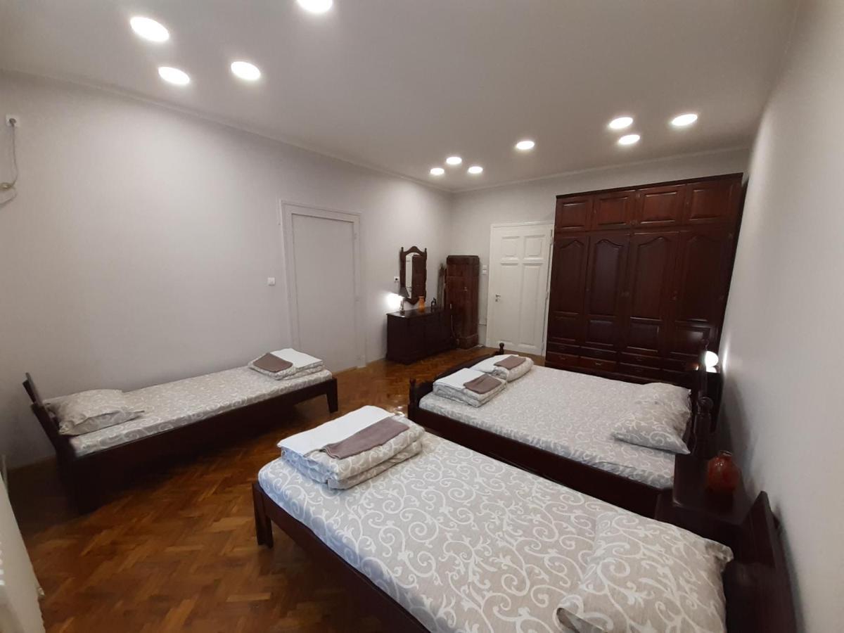 Downtown Apartment In Walk Zone With 3 Bedrooms And Garage Novi Sad Extérieur photo