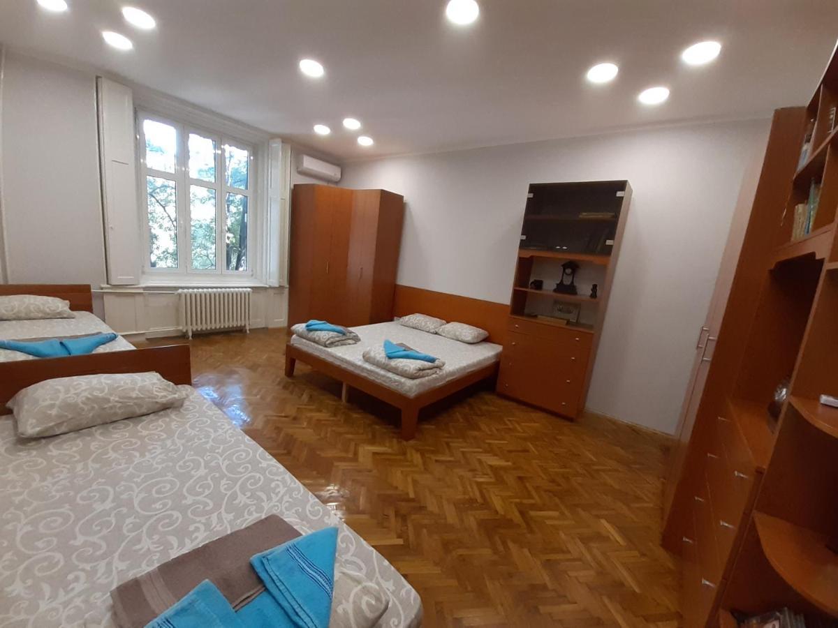 Downtown Apartment In Walk Zone With 3 Bedrooms And Garage Novi Sad Extérieur photo
